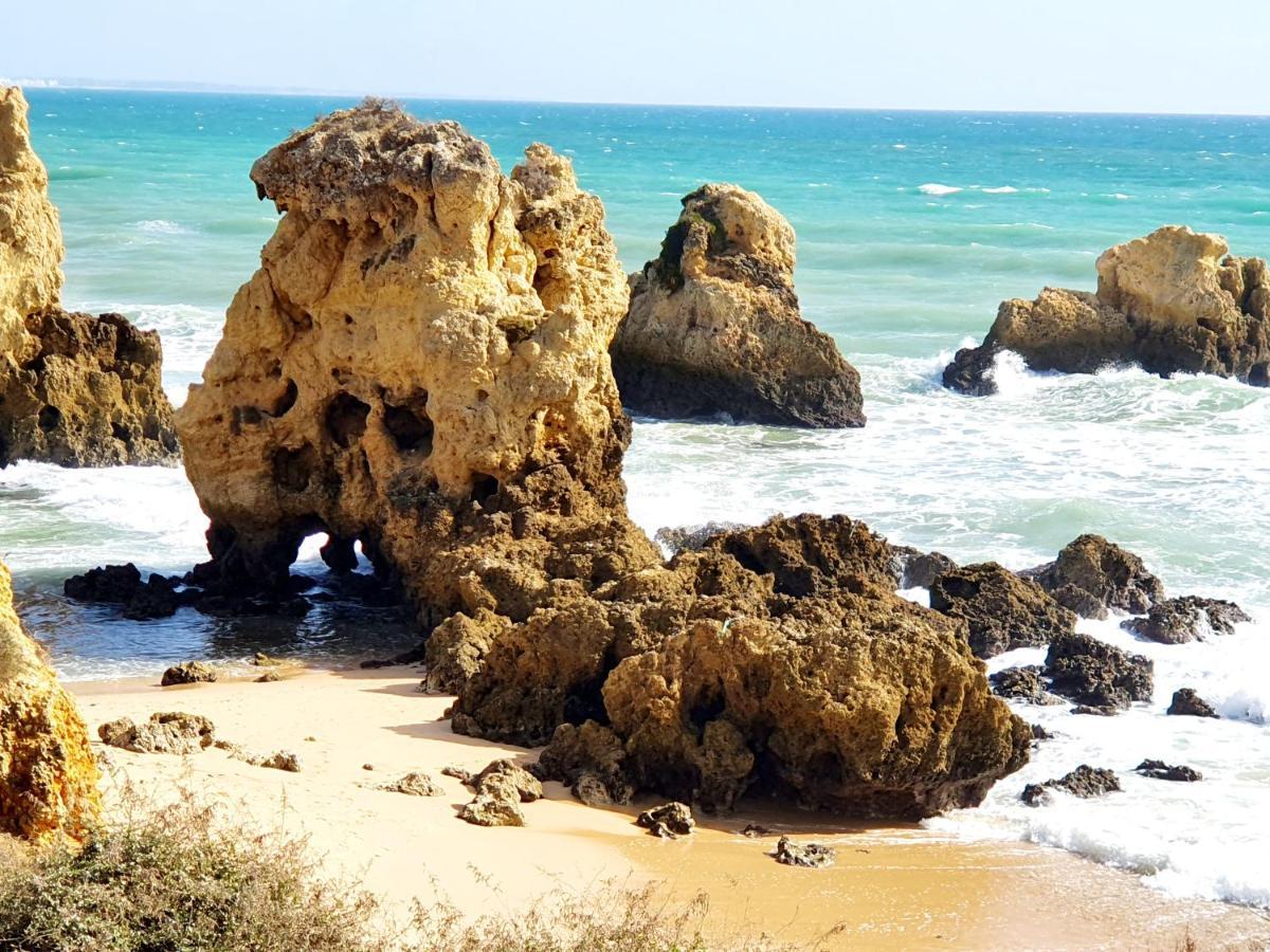 הוילה Canameira Beach - אלבופיירה מראה חיצוני תמונה