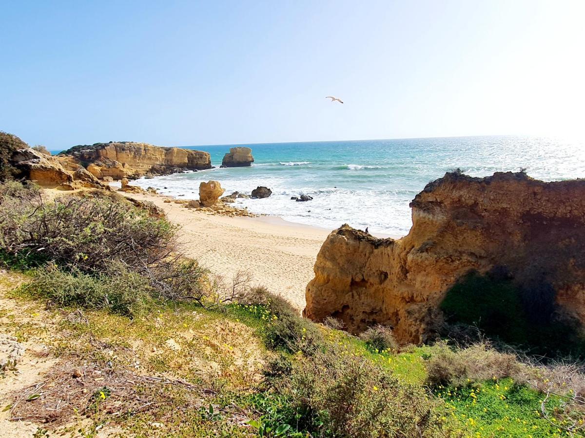 הוילה Canameira Beach - אלבופיירה מראה חיצוני תמונה